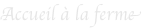 shapeimage_7_link_0